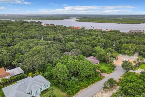 Land in Ponce Inlet, Florida № 1317643 - photo 3