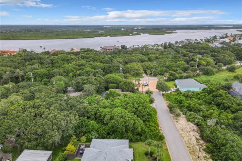 Land in Ponce Inlet, Florida № 1317643 - photo 17