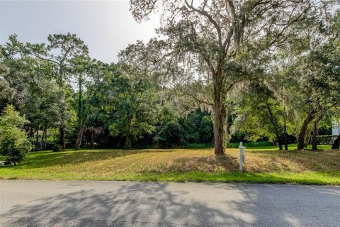 Terreno en venta en Spring Hill, Florida № 1296074 - foto 1