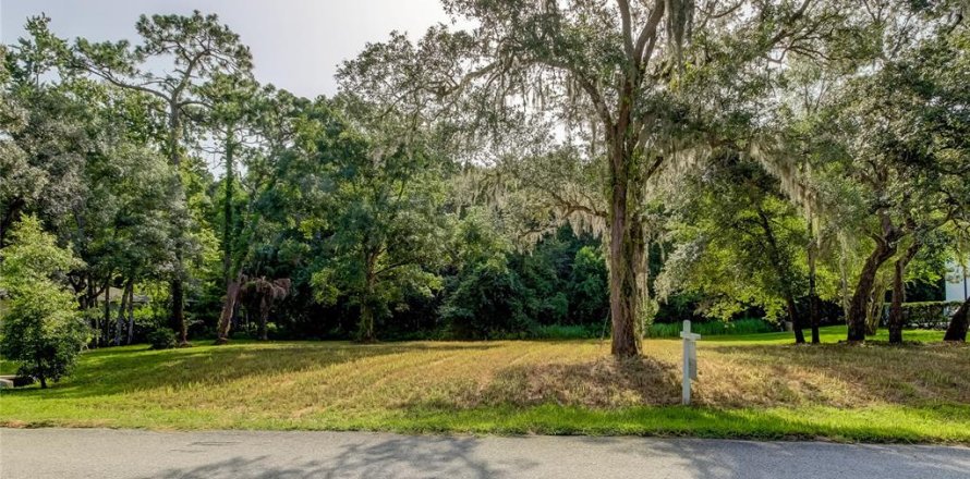 Terrain à Spring Hill, Floride № 1296074