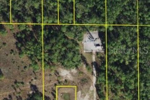 Terreno en venta en Lake Wales, Florida № 1382623 - foto 1