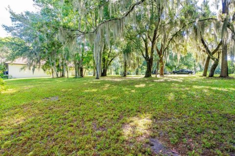 Terreno en venta en DeLand, Florida № 1296114 - foto 5