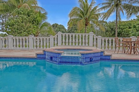 Villa ou maison à vendre à Wellington, Floride: 4 chambres, 311.59 m2 № 1127665 - photo 23