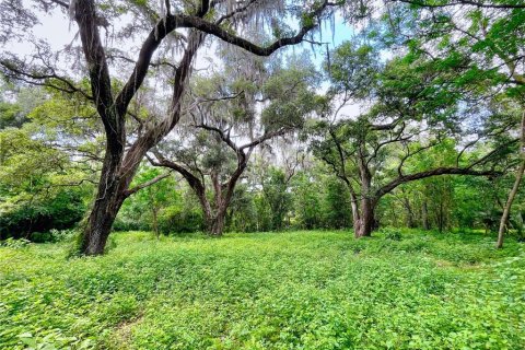 Terreno en venta en De Leon Springs, Florida № 1371210 - foto 1