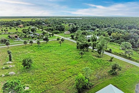 Terrain à vendre à Punta Gorda, Floride № 1349053 - photo 6