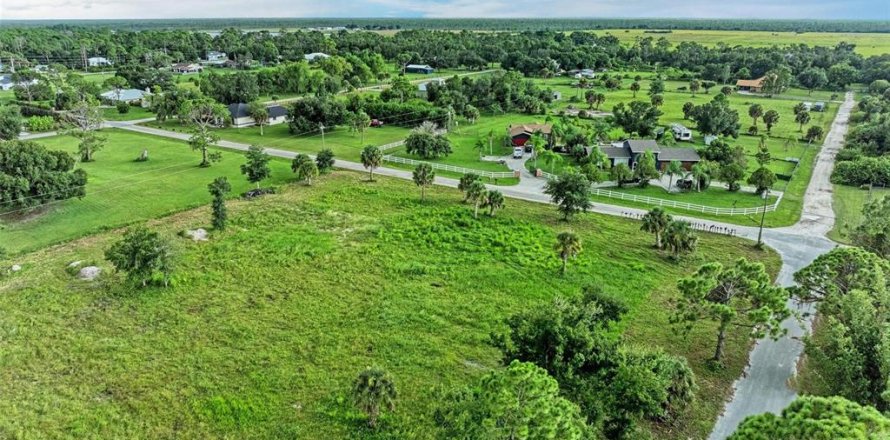 Terrain à Punta Gorda, Floride № 1349053