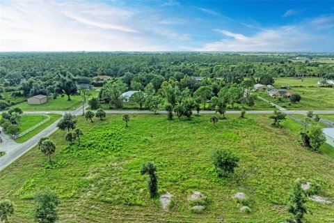 Terrain à vendre à Punta Gorda, Floride № 1349053 - photo 8