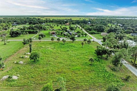 Terrain à vendre à Punta Gorda, Floride № 1349053 - photo 5