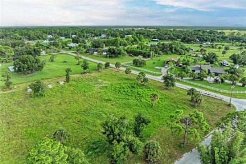 Terrain à vendre à Punta Gorda, Floride № 1349053 - photo 4