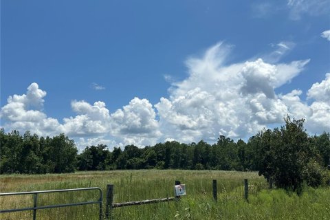 Land in Pierson, Florida № 1349058 - photo 1