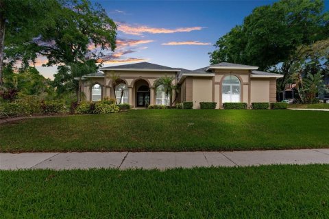 Villa ou maison à vendre à Brandon, Floride: 4 chambres, 299.33 m2 № 1109110 - photo 3