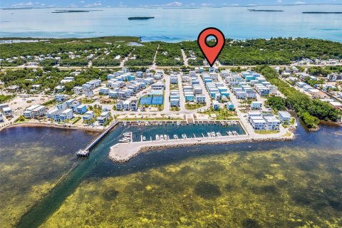 Villa ou maison à vendre à Key Largo, Floride: 3 chambres № 616061 - photo 3
