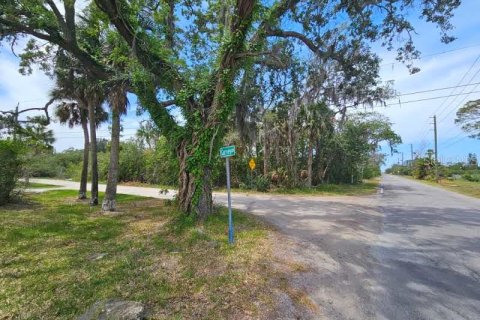 Land in New Port Richey, Florida № 1152884 - photo 13