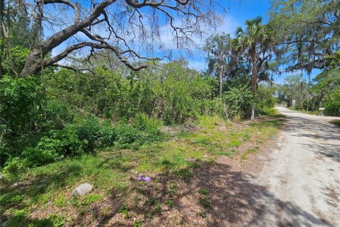 Land in New Port Richey, Florida № 1152884 - photo 2