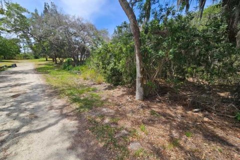 Terreno en venta en New Port Richey, Florida № 1152884 - foto 10