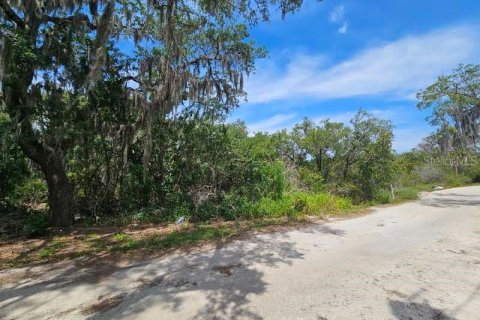 Terreno en venta en New Port Richey, Florida № 1152884 - foto 9