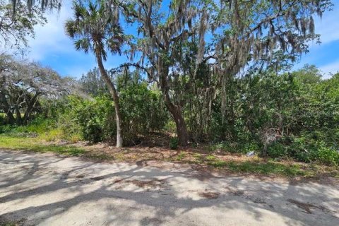 Terreno en venta en New Port Richey, Florida № 1152884 - foto 8