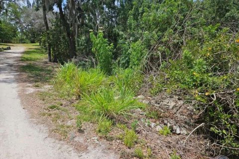 Terreno en venta en New Port Richey, Florida № 1152884 - foto 5