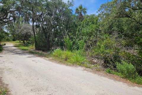 Terreno en venta en New Port Richey, Florida № 1152884 - foto 6