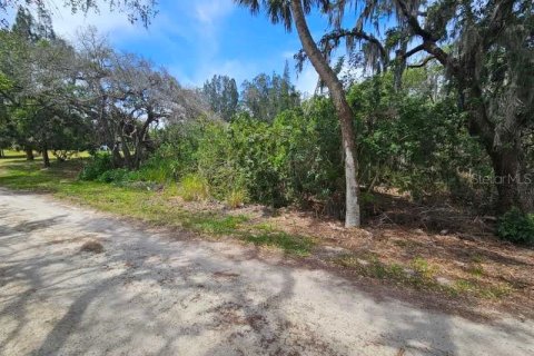 Terrain à vendre à New Port Richey, Floride № 1152884 - photo 12