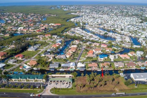 Land in Punta Gorda, Florida № 1296125 - photo 2