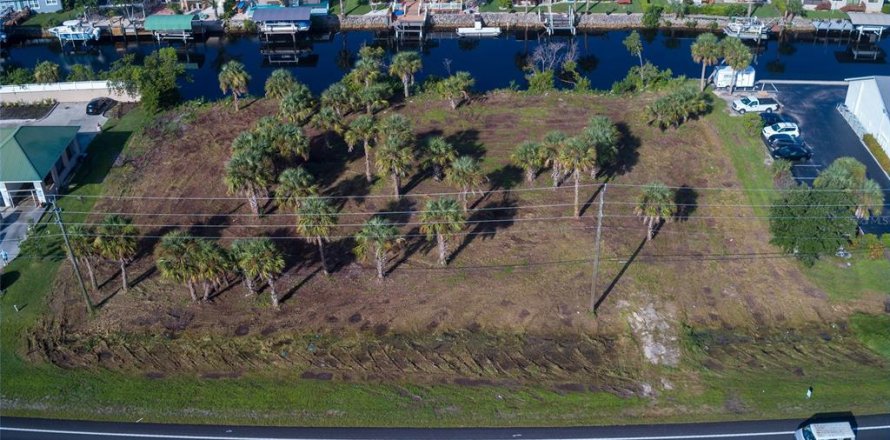 Land in Punta Gorda, Florida № 1296125