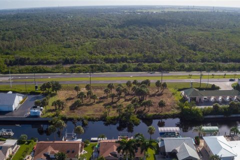 Terrain à vendre à Punta Gorda, Floride № 1296125 - photo 13