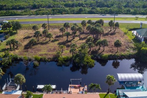 Terreno en venta en Punta Gorda, Florida № 1296125 - foto 11