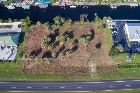 Terrain à vendre à Punta Gorda, Floride № 1296125 - photo 3