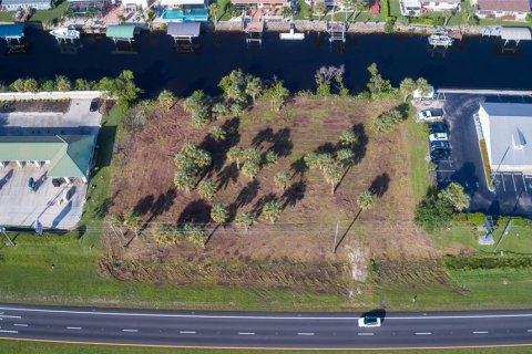 Terrain à vendre à Punta Gorda, Floride № 1296125 - photo 14