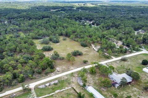 Terreno en venta en Brooksville, Florida № 1315380 - foto 11