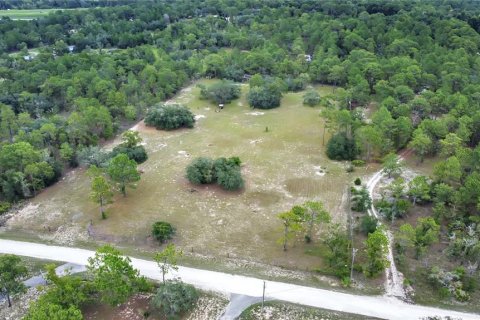 Terreno en venta en Brooksville, Florida № 1315380 - foto 5