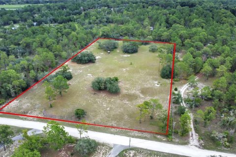 Terreno en venta en Brooksville, Florida № 1315380 - foto 6