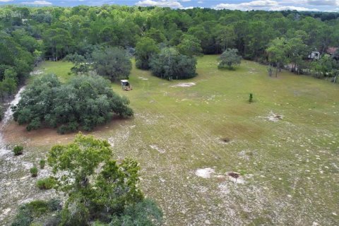 Land in Brooksville, Florida № 1315380 - photo 19