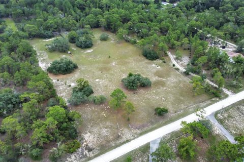 Terreno en venta en Brooksville, Florida № 1315380 - foto 9