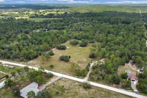 Terreno en venta en Brooksville, Florida № 1315380 - foto 15