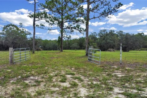 Land in Brooksville, Florida № 1315380 - photo 17