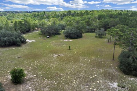 Land in Brooksville, Florida № 1315380 - photo 21