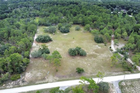 Terreno en venta en Brooksville, Florida № 1315380 - foto 3