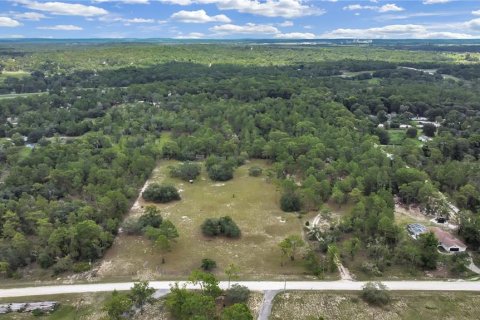 Land in Brooksville, Florida № 1315380 - photo 13