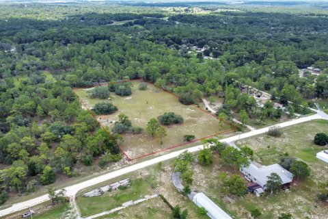 Land in Brooksville, Florida № 1315380 - photo 12