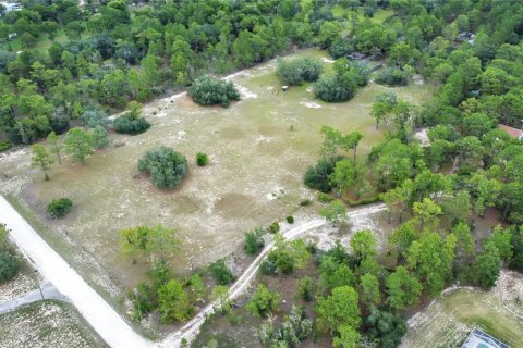 Land in Brooksville, Florida № 1315380 - photo 7