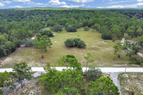 Terreno en venta en Brooksville, Florida № 1315380 - foto 1