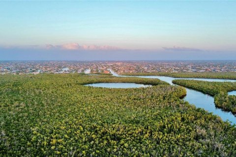 Land in Punta Gorda, Florida № 1121567 - photo 16