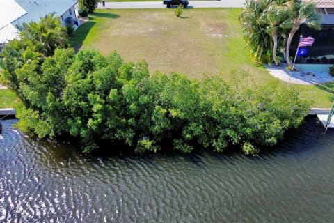 Land in Punta Gorda, Florida № 1121567 - photo 2