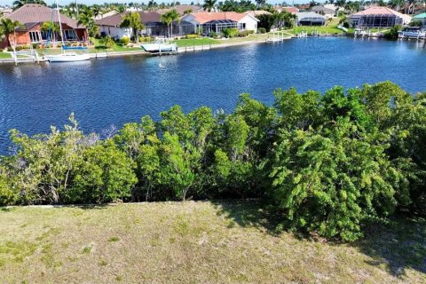 Land in Punta Gorda, Florida № 1121567 - photo 3