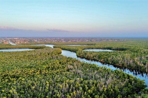 Land in Punta Gorda, Florida № 1121567 - photo 17