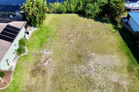 Land in Punta Gorda, Florida № 1121567 - photo 11