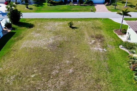 Land in Punta Gorda, Florida № 1121567 - photo 13