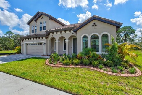 House in Fish Hawk, Florida 5 bedrooms, 365.01 sq.m. № 1391053 - photo 4